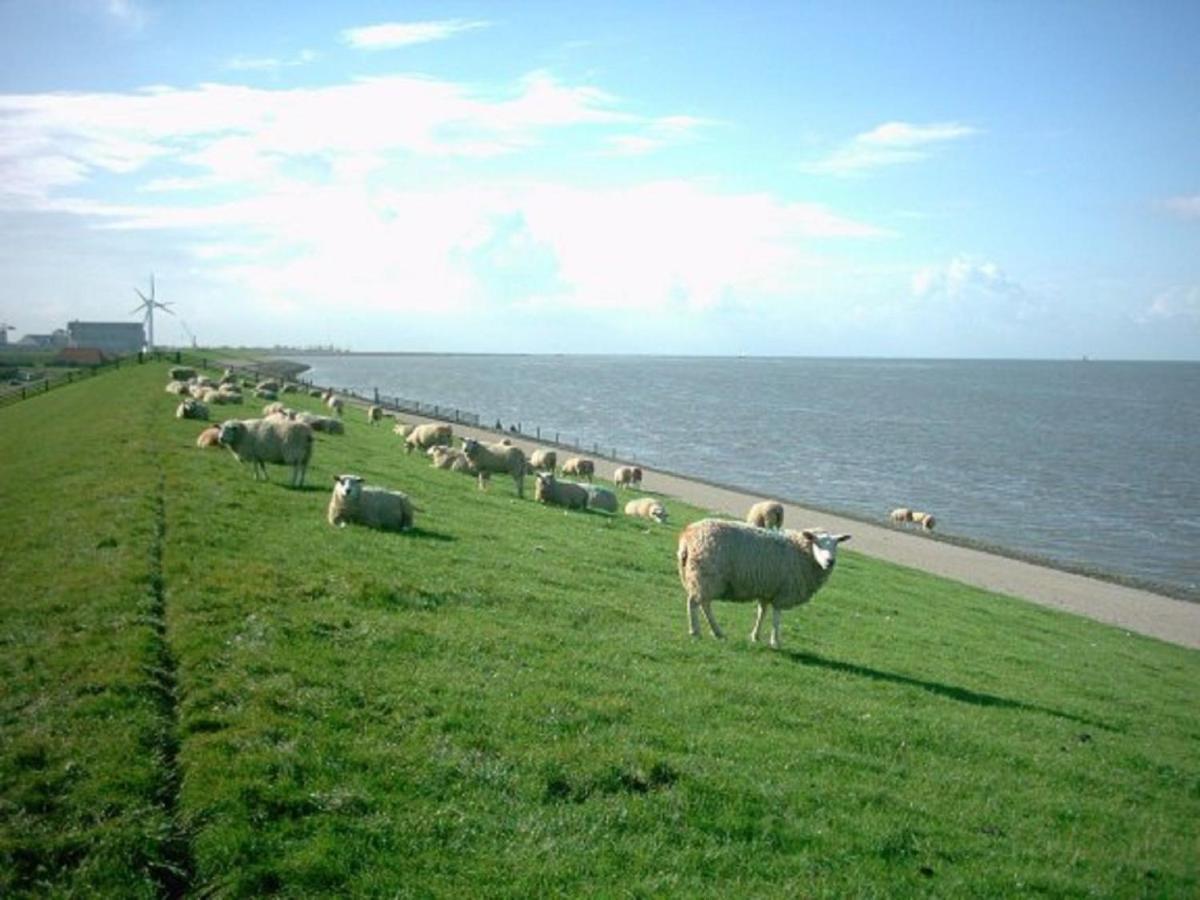 Villa Tidy Chalet With A Microwave, Near The Wadden Sea Tzummarum Exterior foto